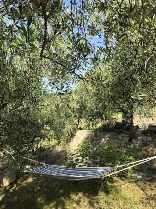 Villa Berio Due - Tuija Villa Viani Dış mekan fotoğraf