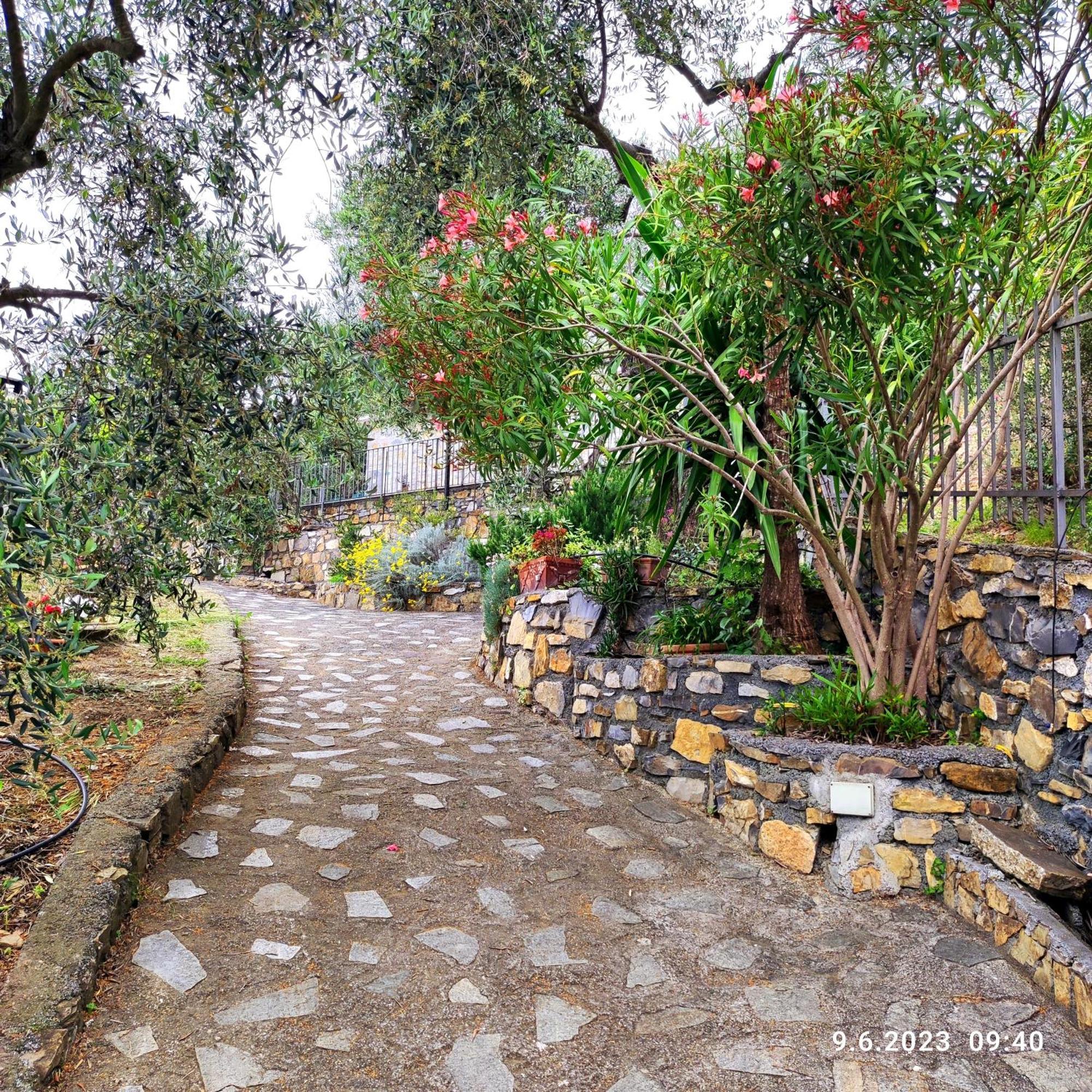 Villa Berio Due - Tuija Villa Viani Dış mekan fotoğraf