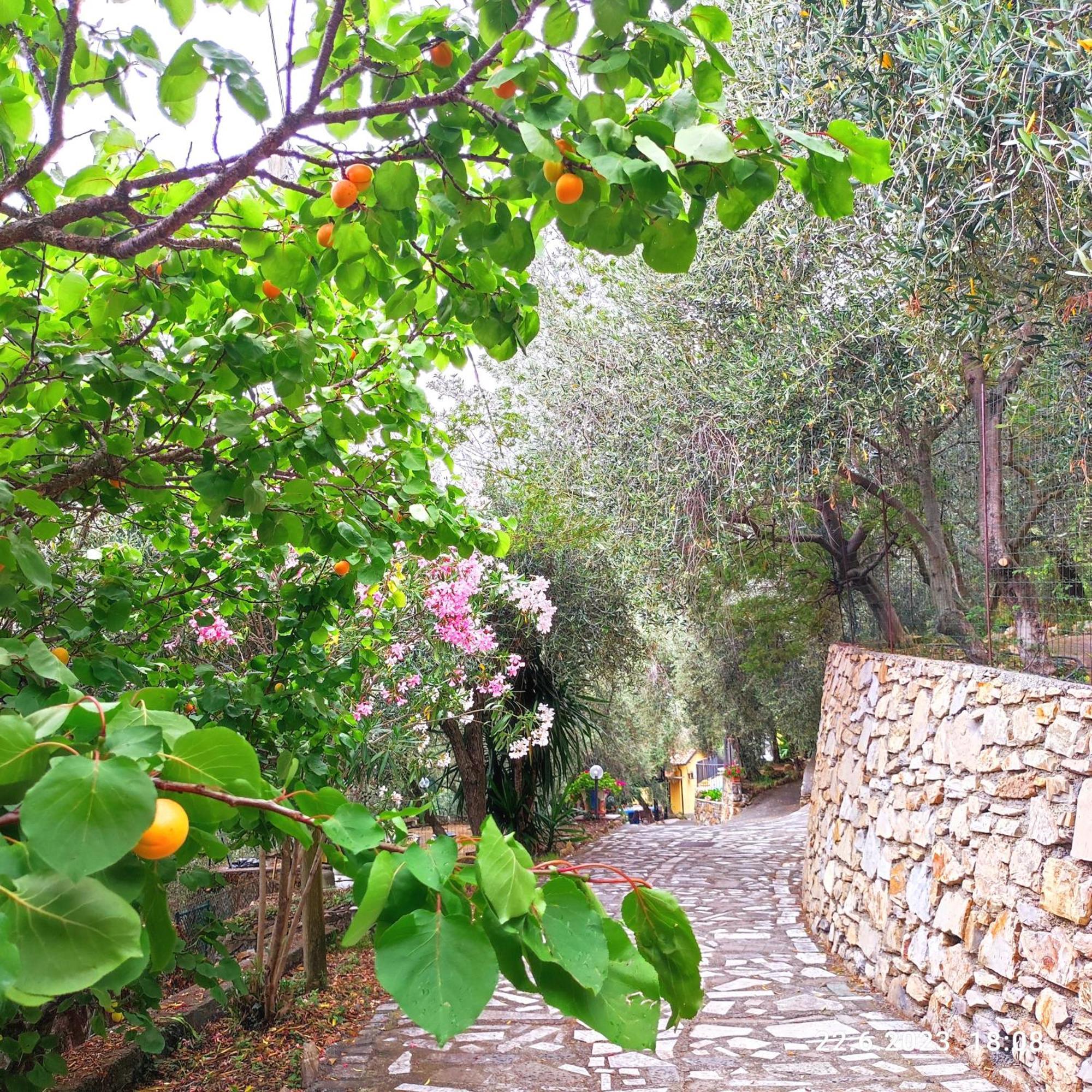 Villa Berio Due - Tuija Villa Viani Dış mekan fotoğraf