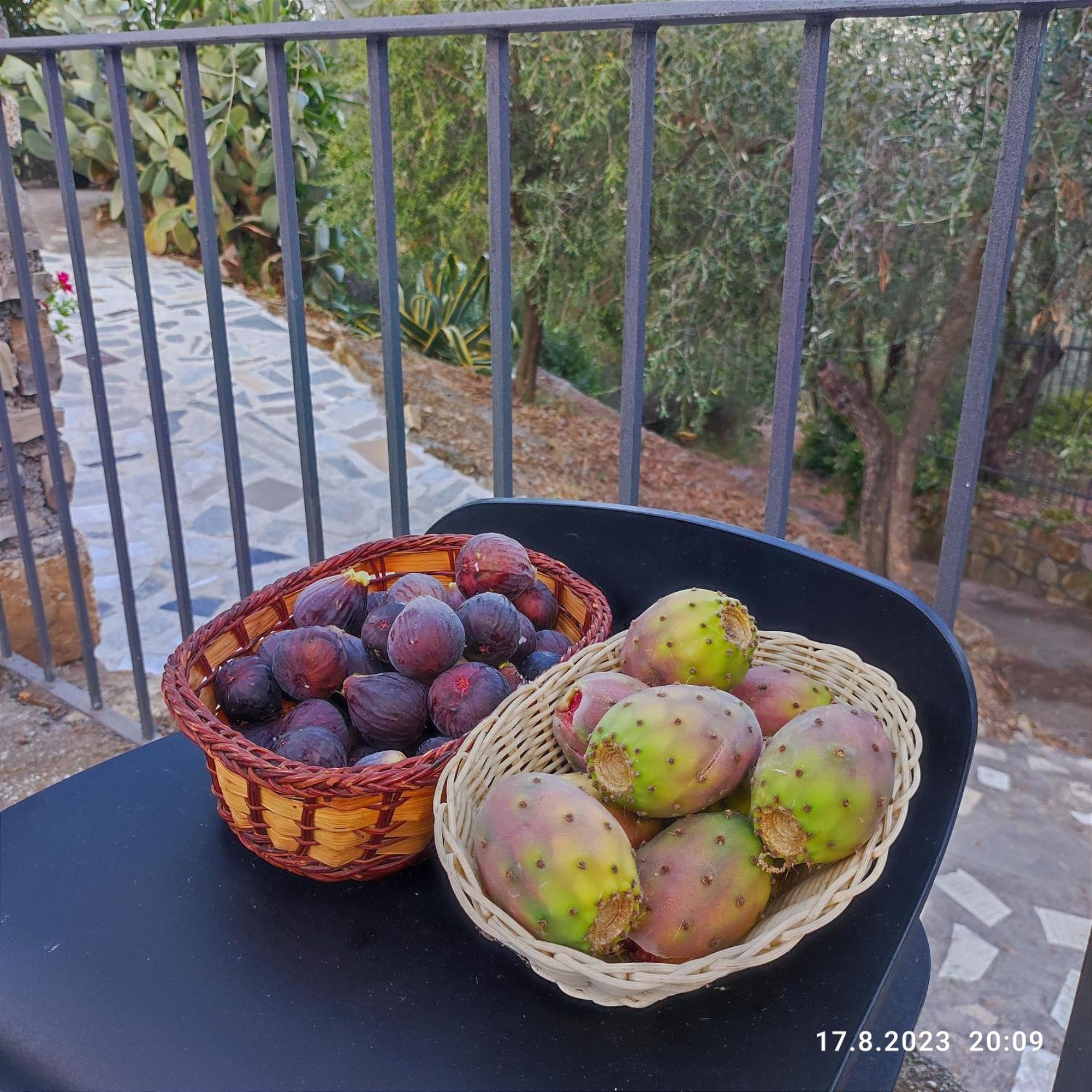 Villa Berio Due - Tuija Villa Viani Dış mekan fotoğraf
